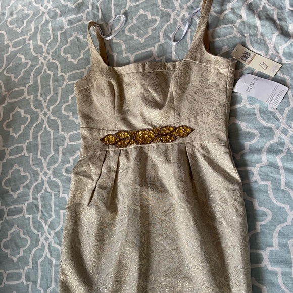 Cream and Gold Dress - Picture 9 of 9